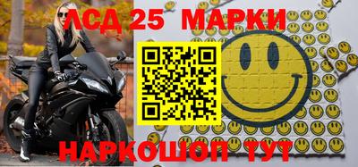 шишки Камышлов