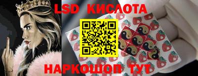 шишки Камышлов