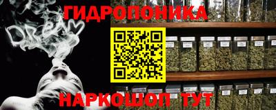шишки Камышлов