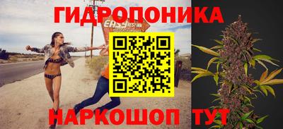 spice Кинель