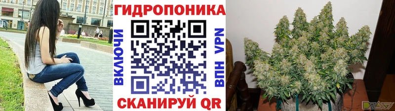 ОМГ ОМГ ссылка Конаково Шишки марихуана планчик